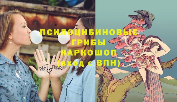 винт Ладушкин