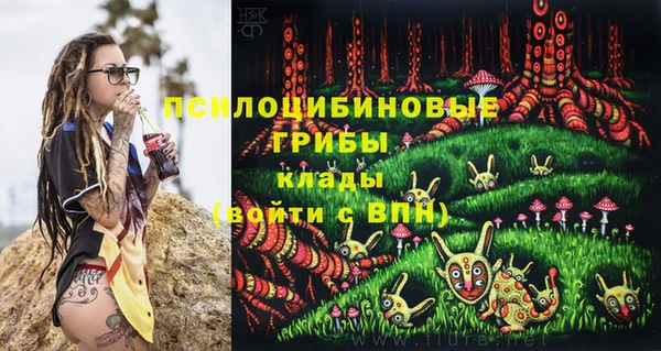 спайс Кулебаки
