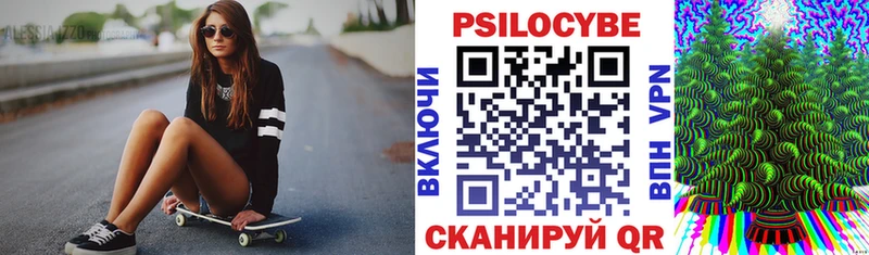 Галлюциногенные грибы Psilocybe  Купить где  Багратионовск 
